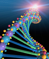Cellular Biology