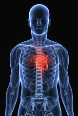 Controlling BioHazardous & Other Dangerous Materials